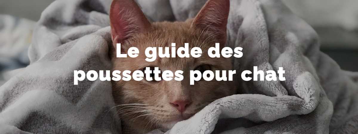 meilleurs poussettes pour chats